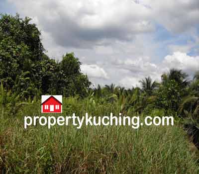 land for sale, mixed zone, 2nd lot, tanah pertanian untuk dijual, Kuching Serian Road