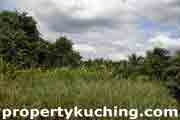 land for sale, mixed zone, 2nd lot, tanah pertanian untuk dijual, Kuching Serian Road