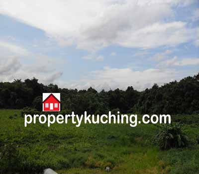 agricultural land mixed zone for sale, tanah pertanian, Muara Tuang