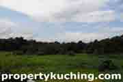 agricultural mixed zone land for sale, tanah untuk dijual, Muara Tuang, Kota Samarahan